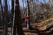 Sul CORNO ZUCCONE, guardiano della Val Taleggio, il 1 marzo 2016 - FOTOGALLERY